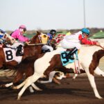 Equine Racing – Apprentice Jockeys